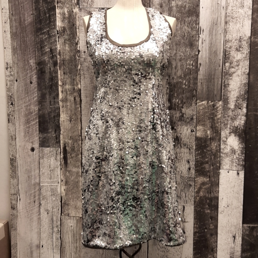 Sequin Dress
